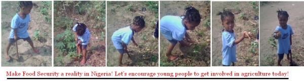 Food Security in Nigeria