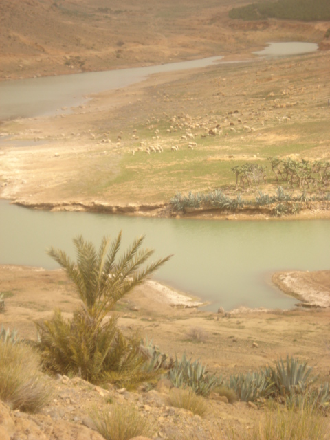 جمال بلادي 01