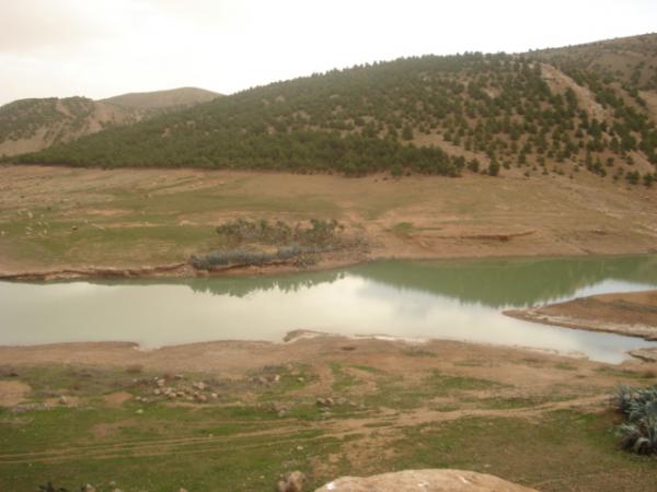 جمال بلادي 02