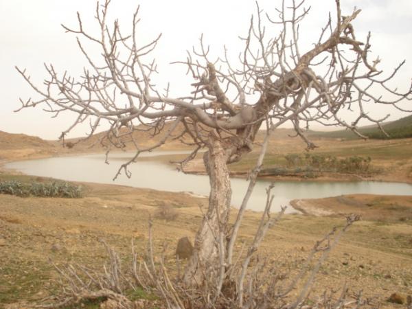 جمال بلادي 05