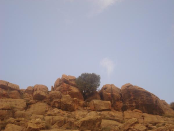جمال بلادي 07