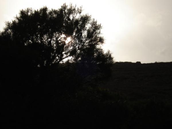 جمال بلادي 10