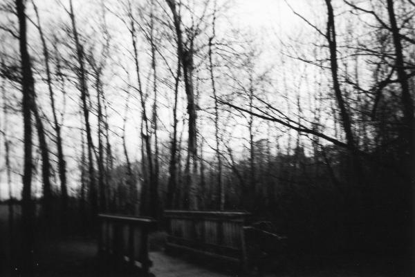 L'arbres