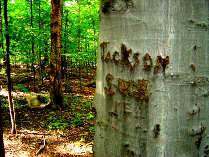 Jackson