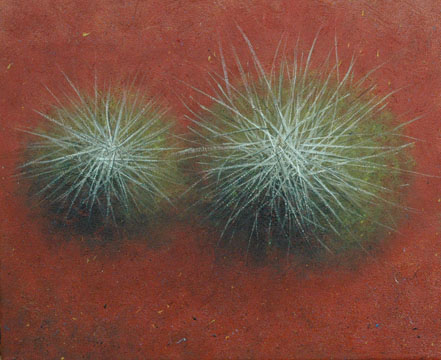 Spinifex Dou