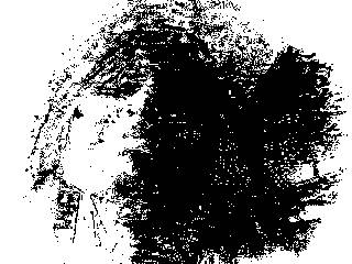 self portrait