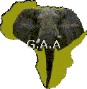 AFRICAN REVOLUTION