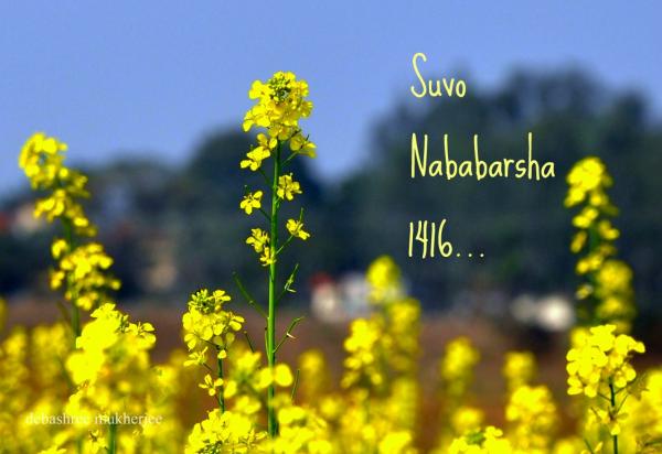 শুভ নববর্ষ...Happy (Bengali) New Year!