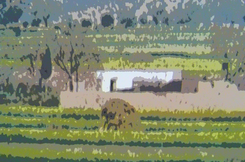 A landscape