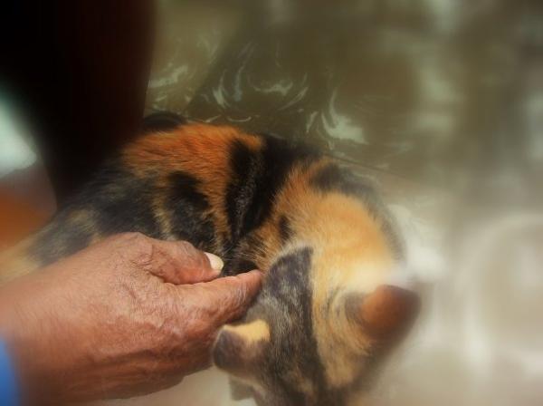 Reaching Out