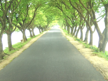 Road view of kishoreganj