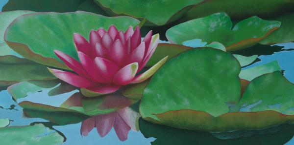 Pink Lily