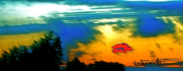 Sky Looks Up