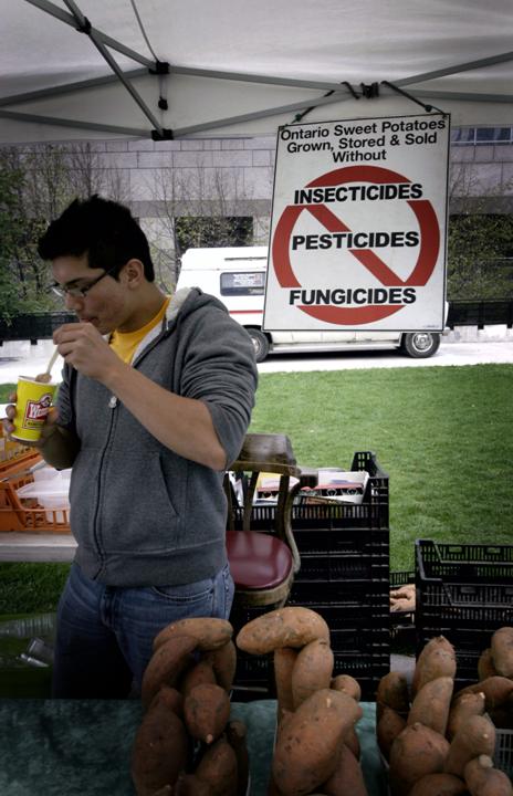 Sincere Foods