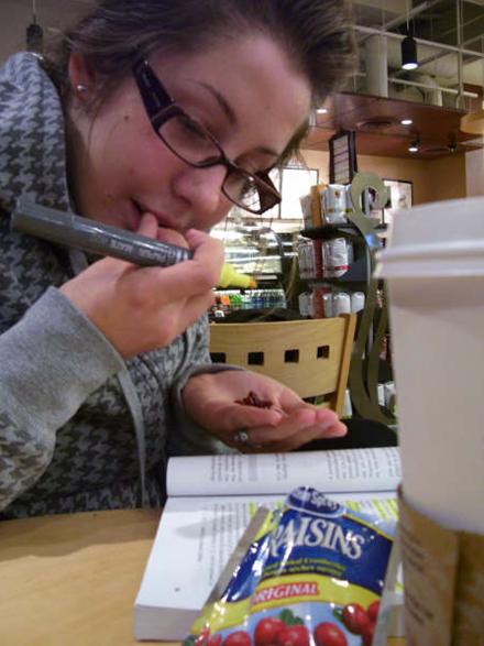 Food to Study to