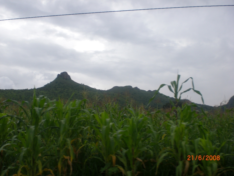 green mountain