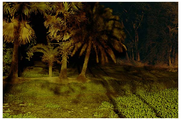 Form of Night