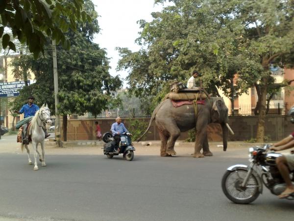 Modes of Transportation...