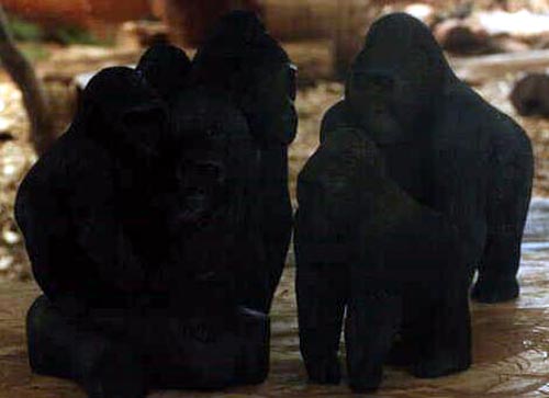 Gorilla Family