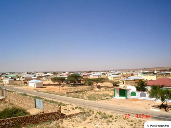 qardho