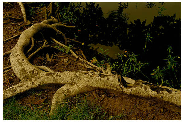 Creative art Photography