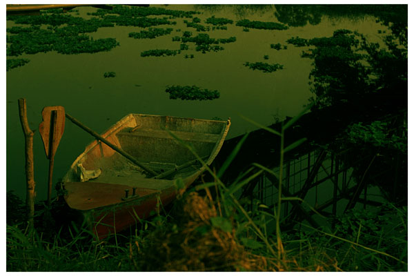 Creative art Photography