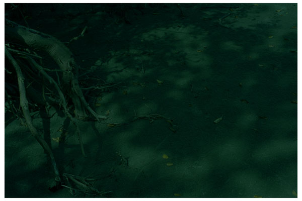 Creative art Photography
