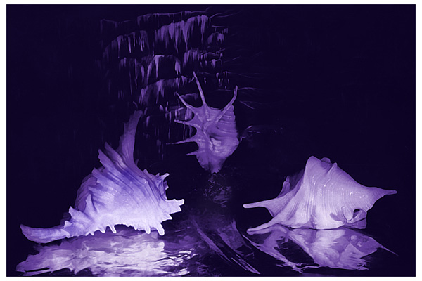Creative art Photography