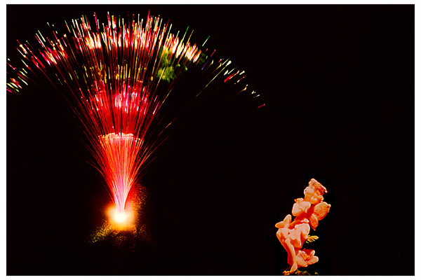 Creative art Photography