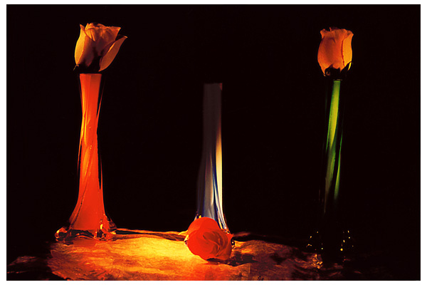 Creative art Photography