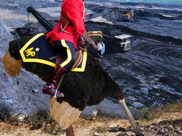 tarsands ostrich