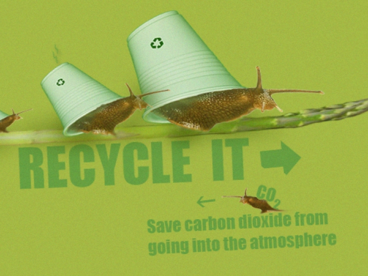 Recycle It