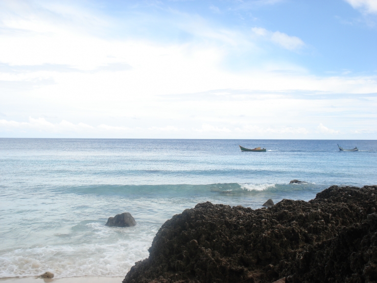 Save our sea