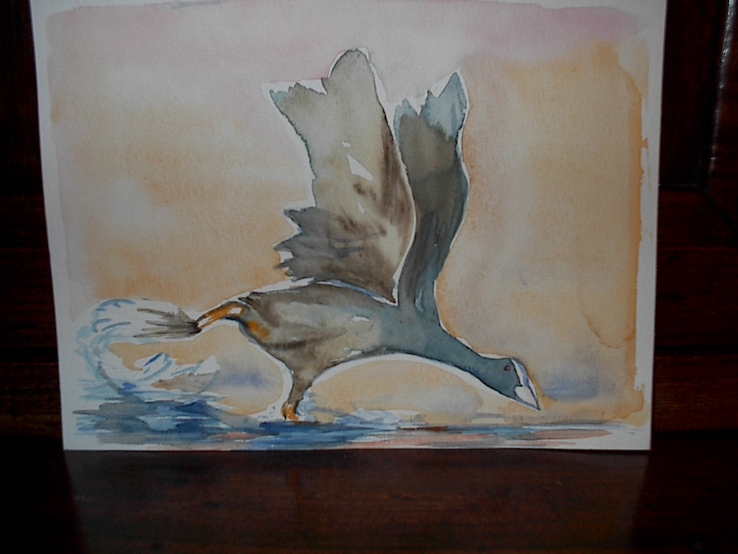 Taking off