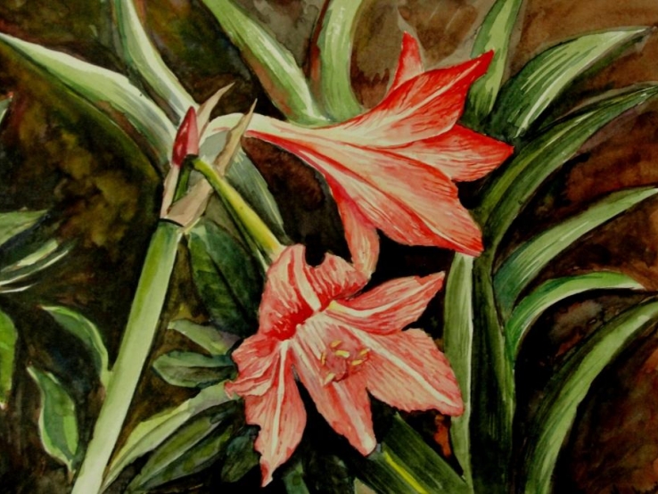 Lilies