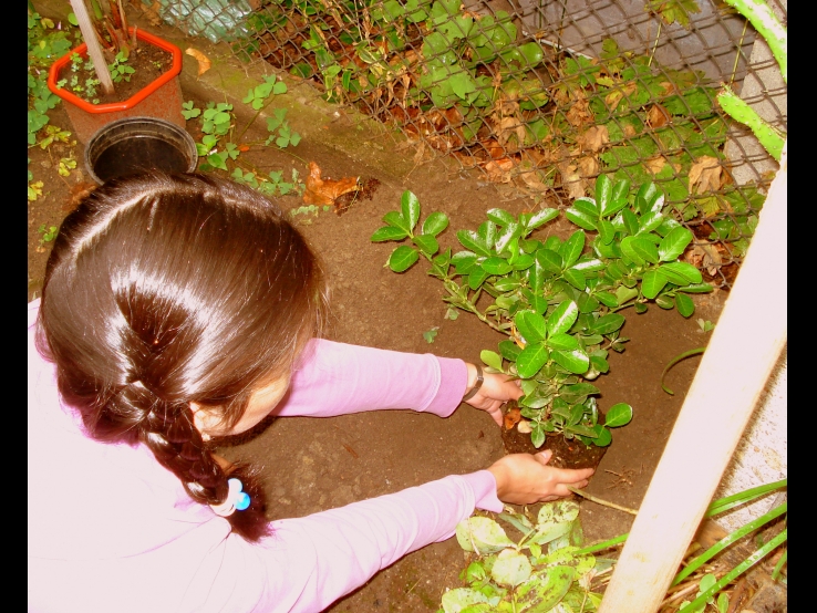 Planting