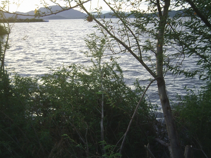 Lake Victoria at noon