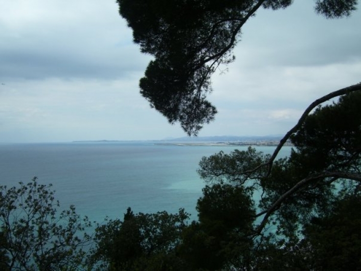 Ocean View