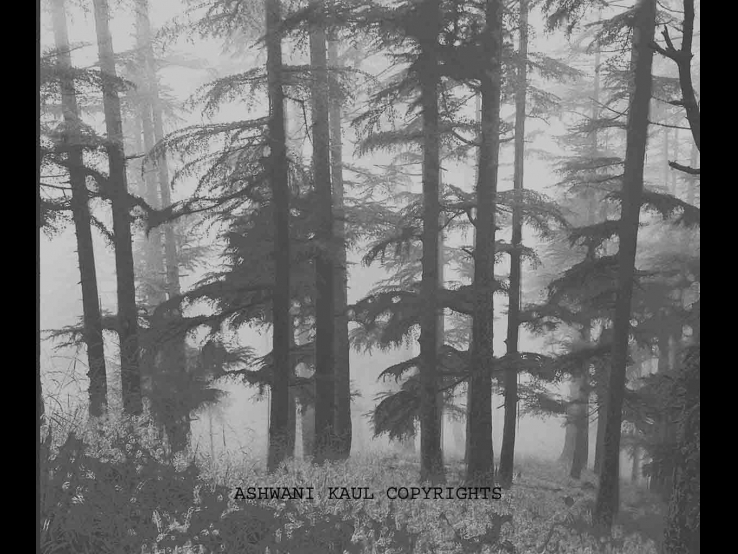 MONSOON IN HIMALAYAS