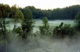 Morning mist