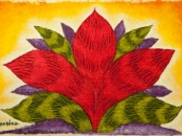my rose