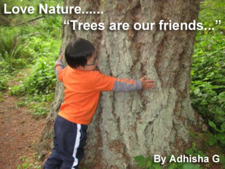 Trees are our friends
