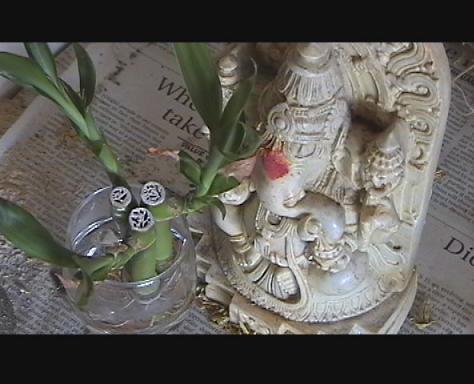 Ganesha