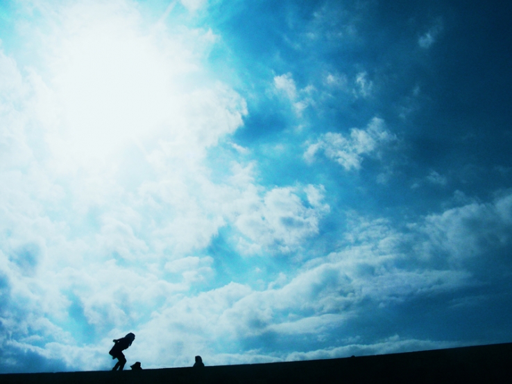 my dream is to fly