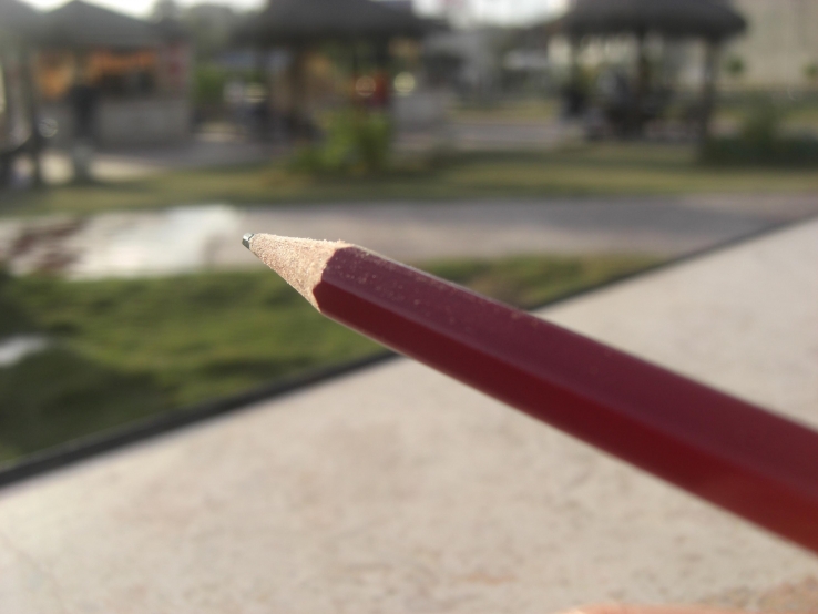 illustrating Nature