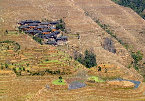 Life and Landscape