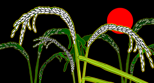 SUN RICE