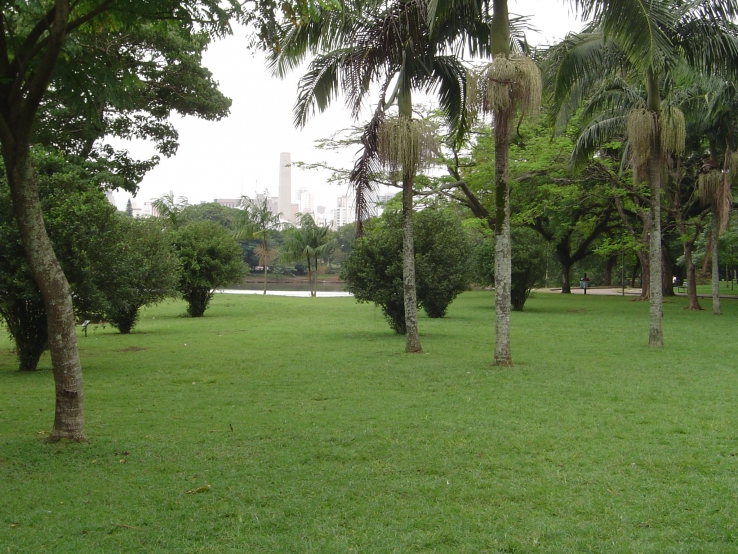 Environment beats Urbanization