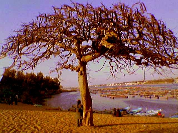Alone