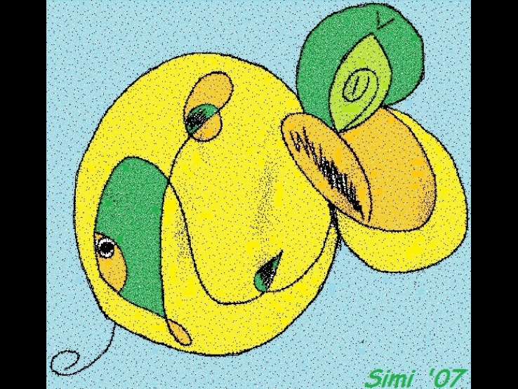 Kangaroo Fish